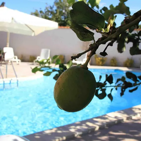 Il Quadrifoglio Trapani